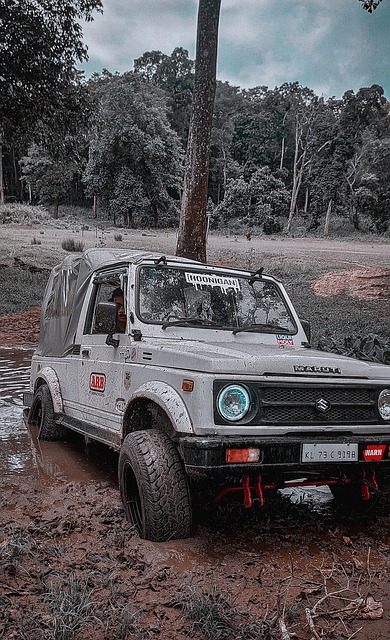 厦马在医疗 厦马在医疗