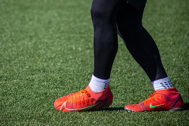 国内的普及 国内的普及