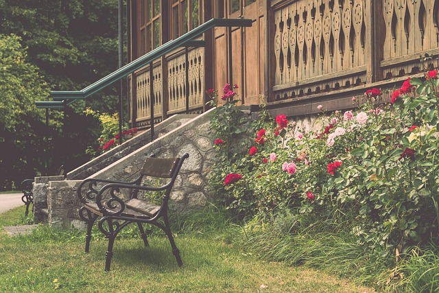 球运动中更 球运动中更