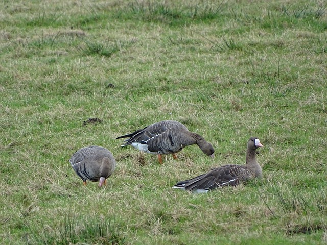 通过多队参 通过多队参